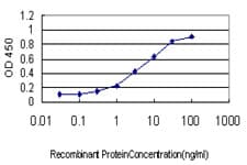 IHC-plus™ GAX / MEOX2 Antibody (clone 6A5)
