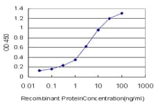 MRRF Antibody (clone 1D3)