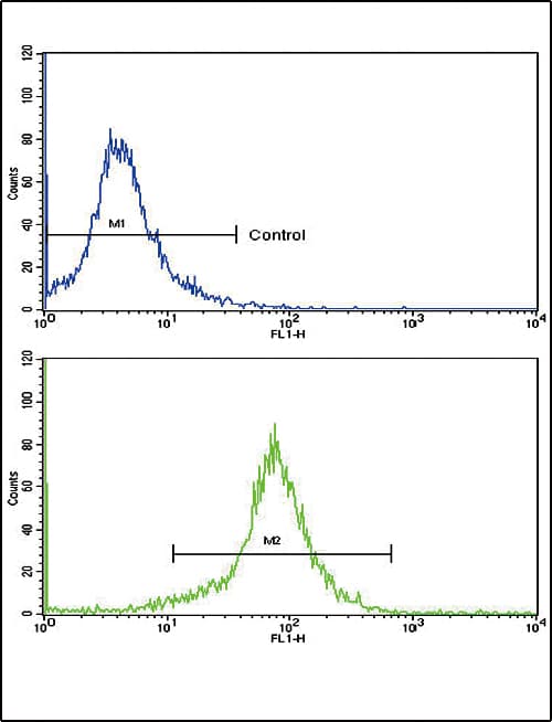 SOD3 Antibody (aa7-36)