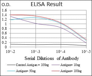 NCLN Antibody (aa249-405, clone 1C8B6)