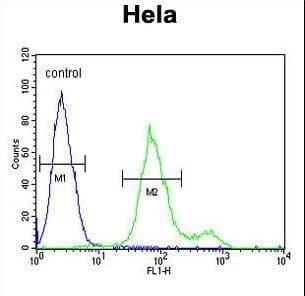 SUMF1 Antibody (aa303-331)