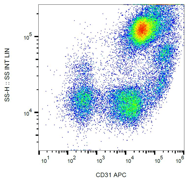 PECAM-1 / CD31 Antibody (clone MEM-05, APC)