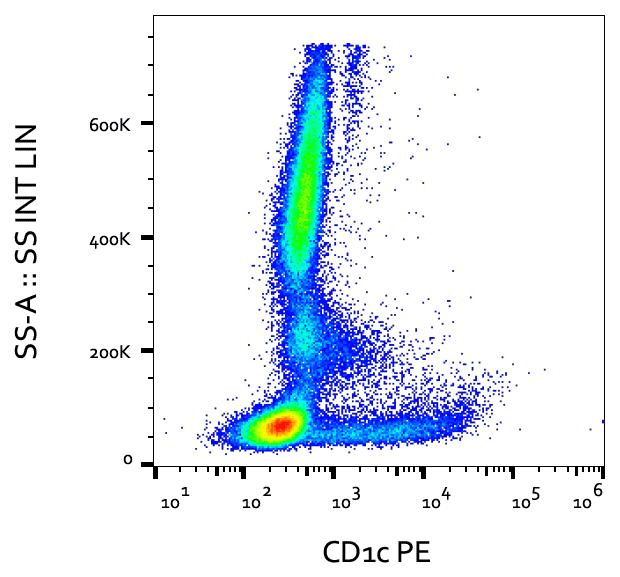 CD1C Antibody (clone L161, APC)