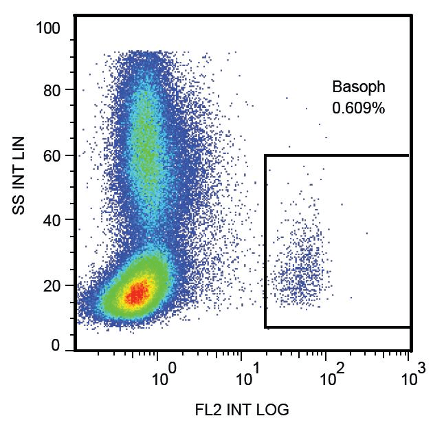 Monoclonal Mouse anti-Human LAMP1 / CD107a Antibody (clone H4A3, PE, IHC, WB)