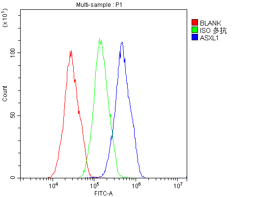 ASXL1 Antibody