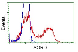 SORD / Sorbitol Dehydrogenase Antibody (clone OTI17E7)