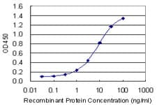 TRPC1 Antibody (clone 1E4)