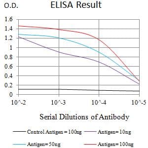SIRPG Antibody (clone 7H3A2)