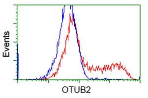 OTUB2 Antibody (clone OTI11B3)