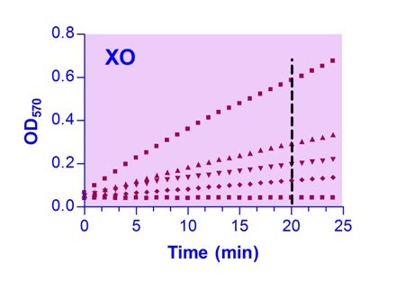 Xanthine Oxidase Assay Kit (Colorimetric/Fluorometric)