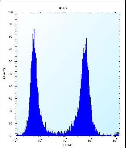 Polyclonal Rabbit anti-Human FCN3 / Ficolin-3 Antibody (aa214-243, IHC, WB)