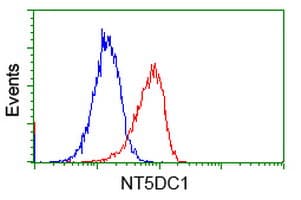 NT5DC1 Antibody (clone OTI2H8)