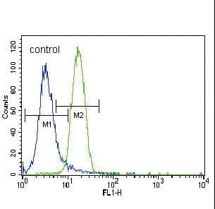 PARK2 / Parkin 2 Antibody (aa387-417)