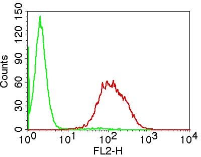 LGALS1 / Galectin 1 Antibody