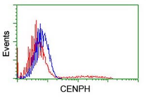 CENPH / CENP-H Antibody (clone OTI2G4, Carrier-free)