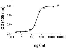 Human BMP6 Protein (Recombinant)