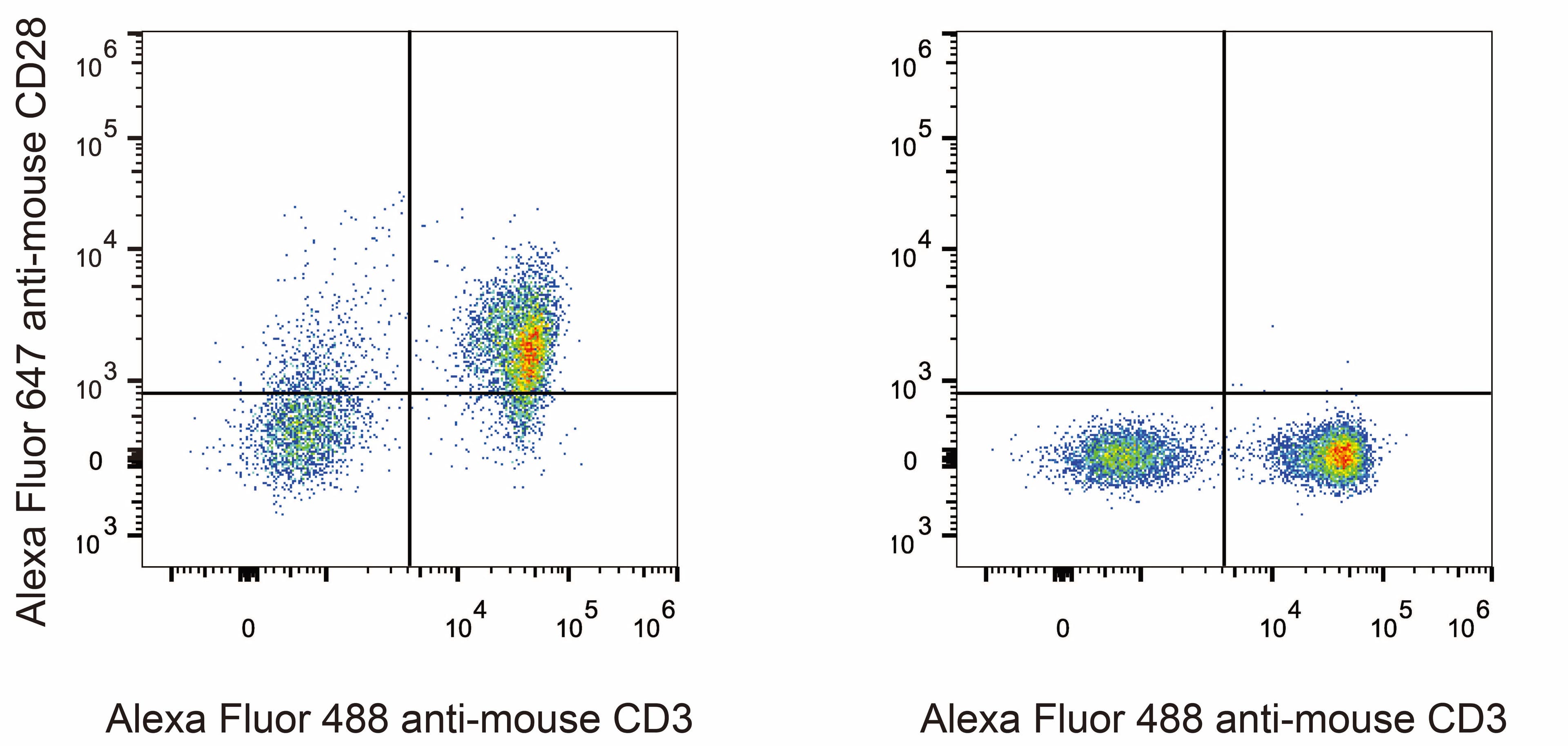 CD28 Antibody (clone 37.51, AF647)