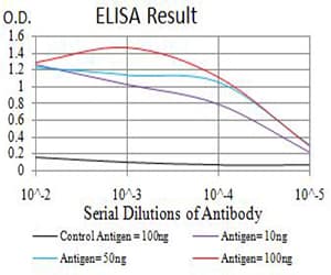 Monoclonal Mouse anti-Human AML1 / RUNX1 Antibody (clone 6C12A5, WB)