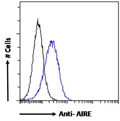 IHC-plus™ AIRE Antibody (aa534-545)