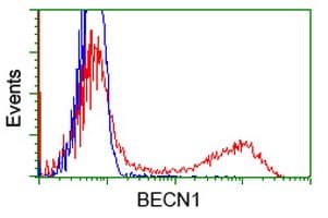 BECN1 / Beclin-1 Antibody (clone OTI1E1, Carrier-free)