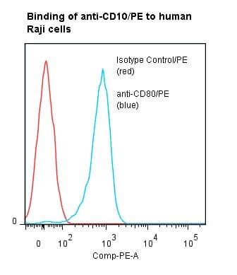 MME / CD10 Antibody (clone SN5c/L4-1A1, RPE)