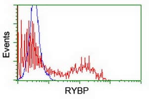 RYBP Antibody (clone OTI1B6, Carrier-free)