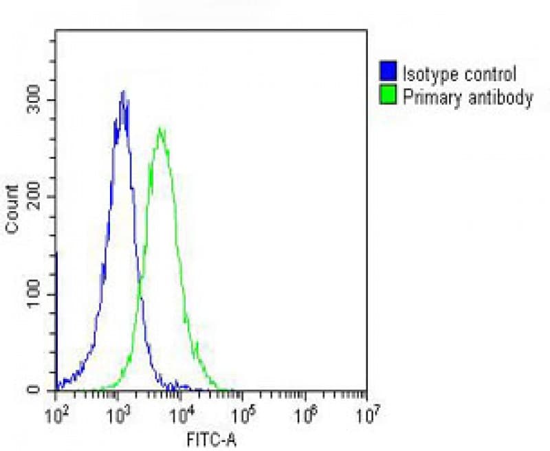 PPIB / Cyclophilin B Antibody