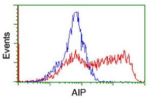 ARA9 / AIP Antibody (clone OTI1B6)