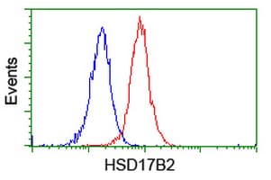 HSD17B2 Antibody (clone OTI3E9)