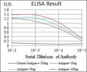 HSF4 Antibody (clone 2E7)