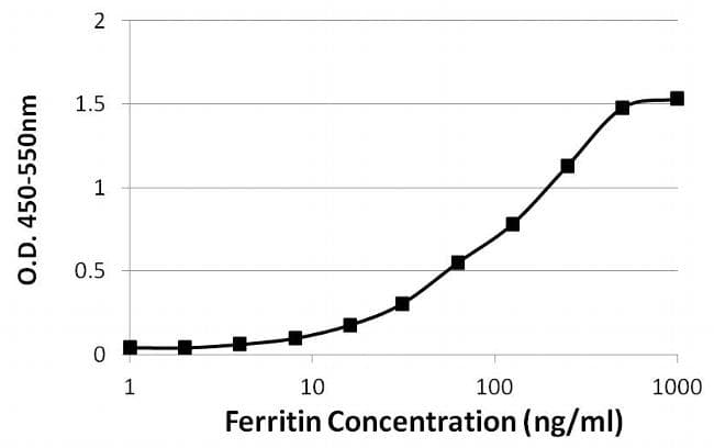 Ferritin Antibody (clone 521)