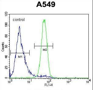 FSTL1 Antibody (aa280-308)