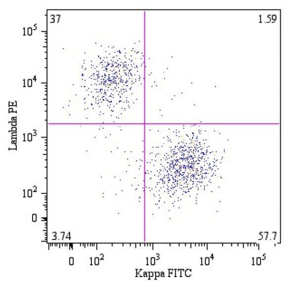 Lambda Light Chain Antibody (clone 4C2, FITC)