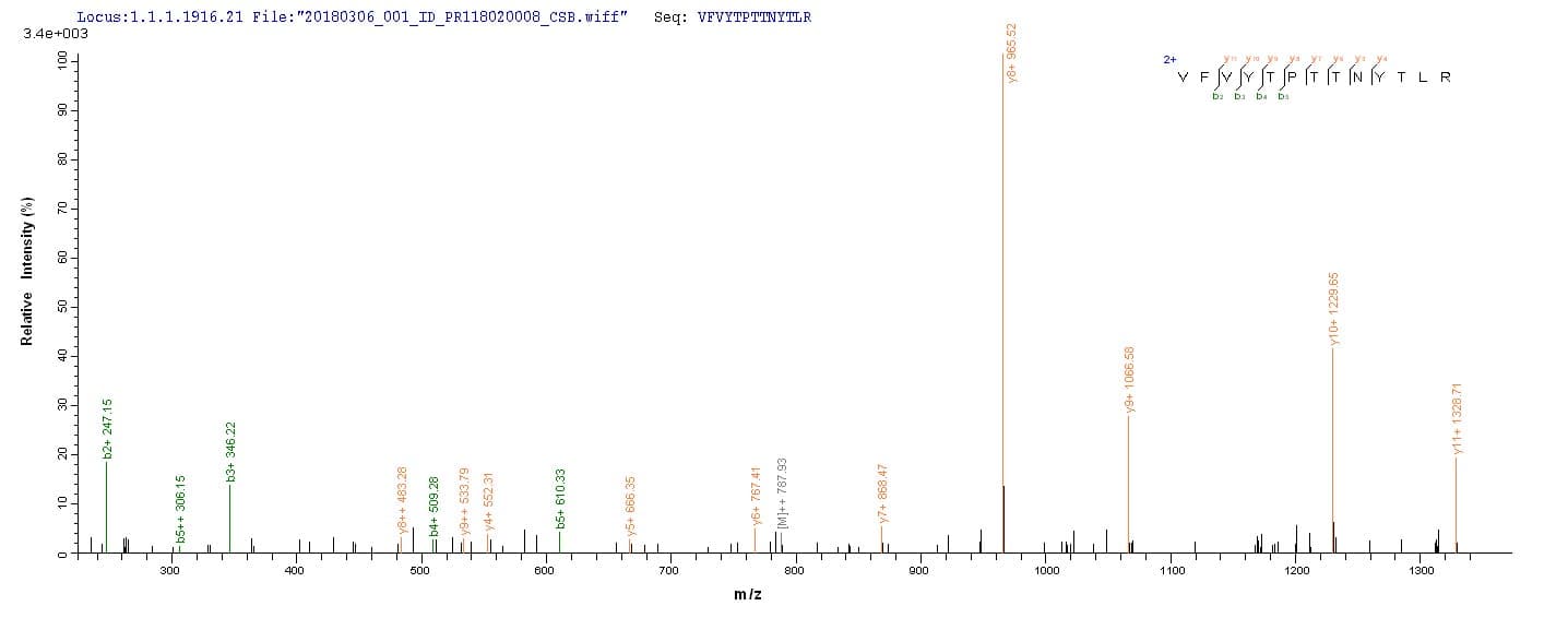 Mouse PLA2G15 / ACS Protein (Recombinant 10His, N-terminus + Myc, C-terminus)