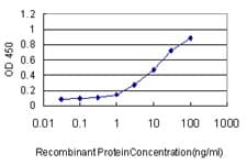 Monoclonal Mouse anti-Human TAF1 Antibody (clone 1E11, WB)