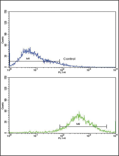 IHC-plus™ SELL / L-Selectin / CD62L Antibody (aa346-372)