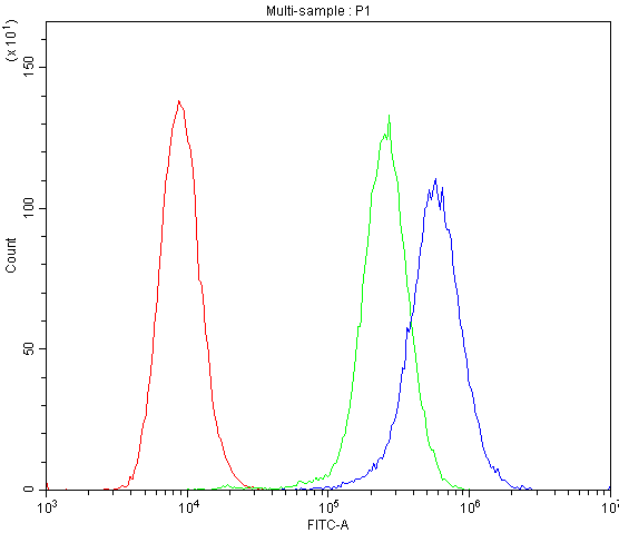 SPHK2 Antibody