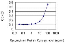 ELK4 Antibody (clone 3D1)