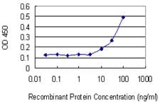 RAB13 Antibody (clone 8H8)