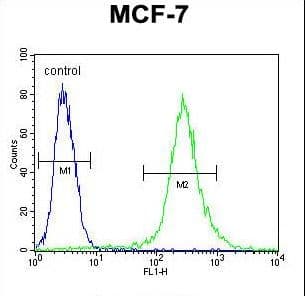 Polyclonal Rabbit anti-Human RPS24 / Ribosomal Protein S24 Antibody (aa65-93, WB)