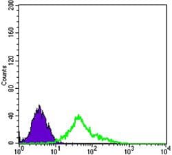NGFR / CD271 / TNR16 Antibody (clone 2F1C2)