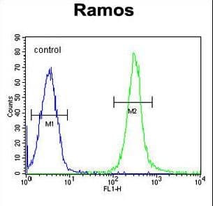 FAM133A Antibody (aa29-57)