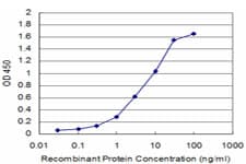BRD3 Antibody (clone 6E7)
