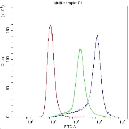 SELP / P-Selectin / CD62P Antibody (aa42-271)