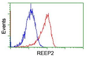 REEP2 Antibody (clone OTI2C7)