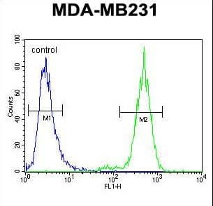 TTC16 Antibody (aa1-30)
