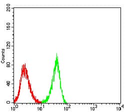 Monoclonal Mouse anti-Human CHRNA3 Antibody (clone 6D3A10, IHC, WB)