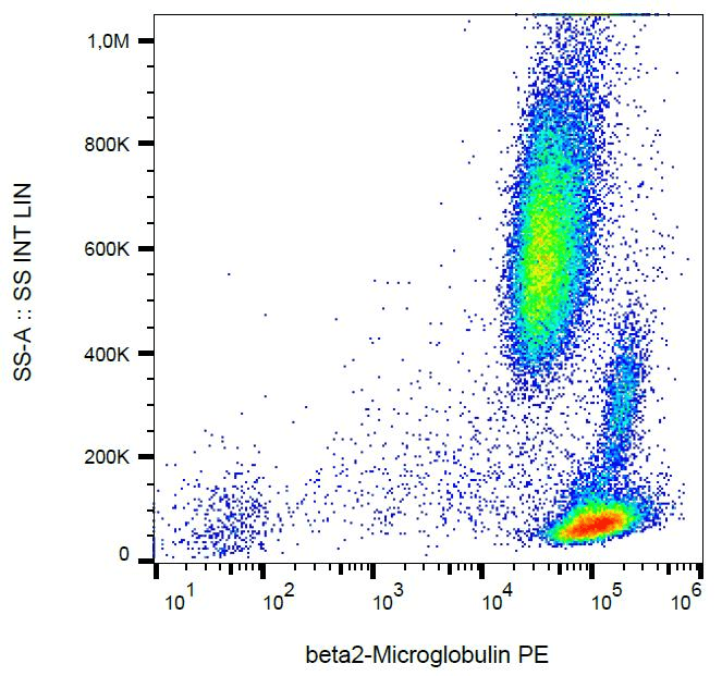 Monoclonal Mouse anti-Human B2M / Beta 2 Microglobulin Antibody (clone B2M-01, PE, IHC, WB)