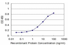 RAX / RX Antibody (clone 4F4)