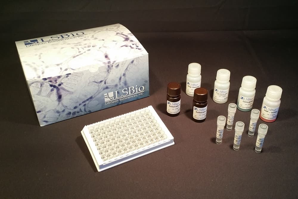 Mouse Arachidonic Acid ELISA Kit (Competitive EIA)